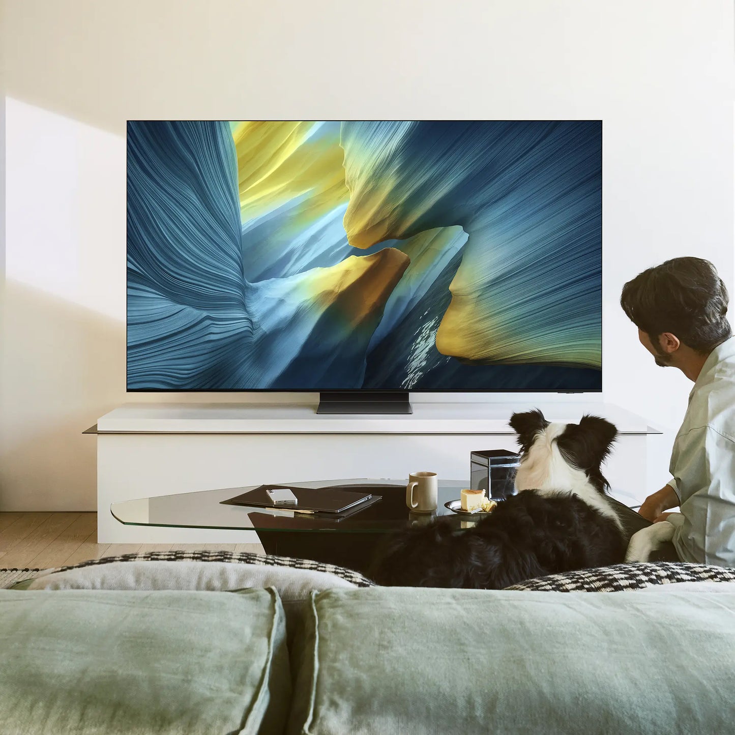 Samsung QE65S95F – 65 inch OLED 4K TV – Smart – 100 Hz – HDR – Zwart – Topklasse beeld voor veeleisende kijkers