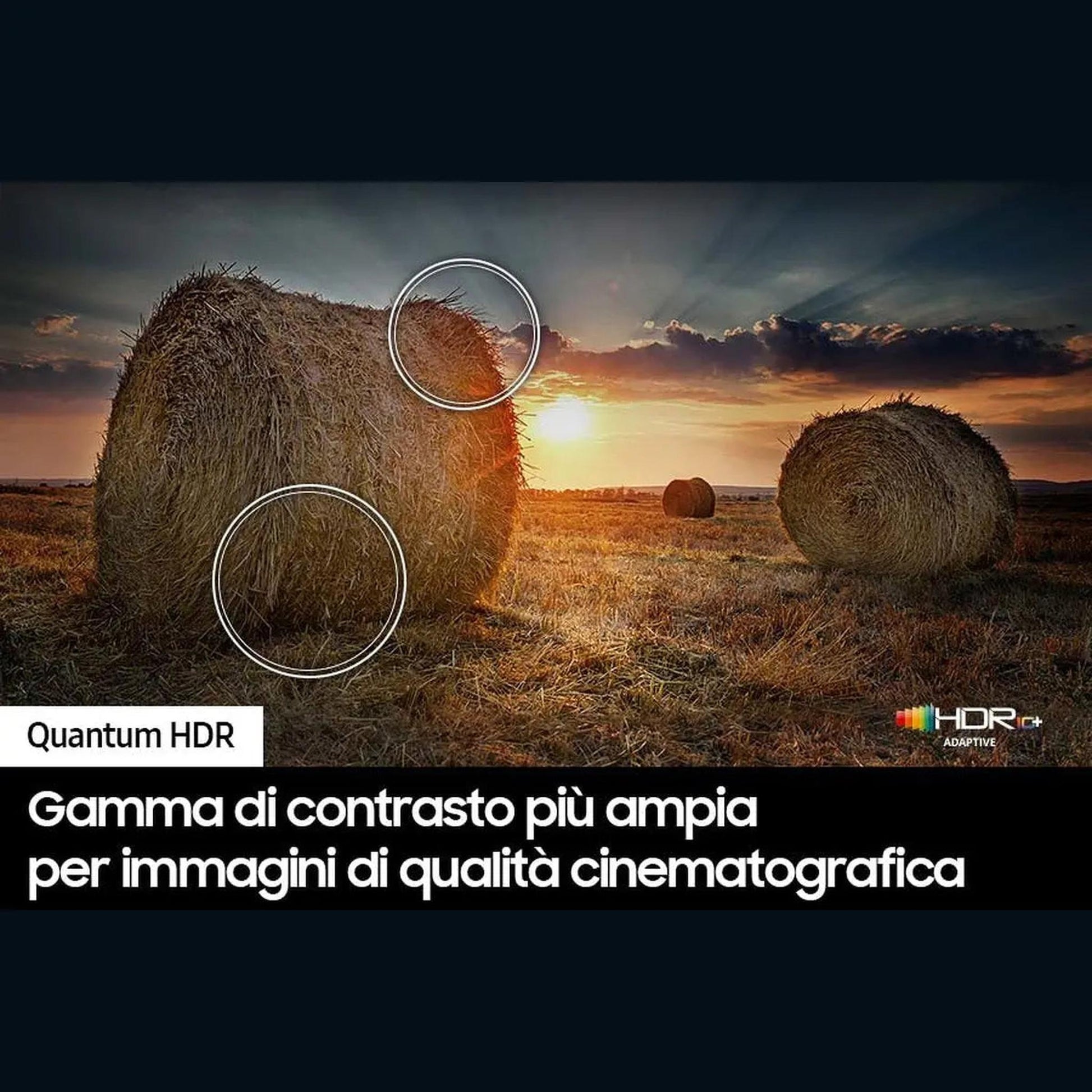 SAMSUNG QE55Q65C