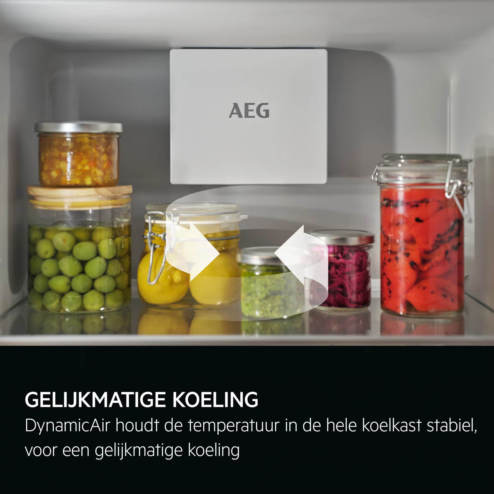 AEG OSC5D181ES - Art Electronics